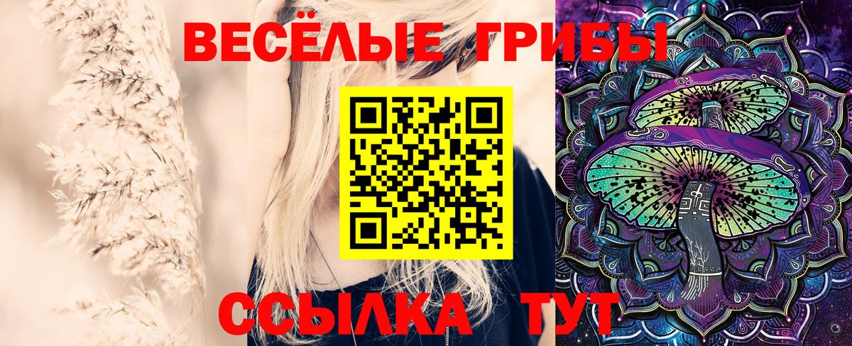 Галлюциногенные грибы Magic Shrooms Мценск